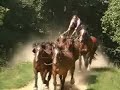 Ferme du Cheval de Trait : Spectacle de la Terre à la Scène