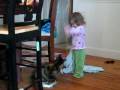 videos de January 08 014