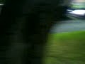 minimoto crash:vic