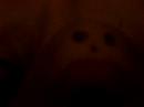 pepito