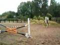 harrold-entrainement