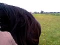 staljongsma