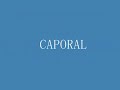 GRUPO NUNA KALLPA . CAPORAL- CANCION MI VALENTIN (WILIAM LUNA)