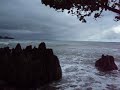 MOV00758