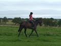 Addy jumping 1m5 Addy jumping 1m5