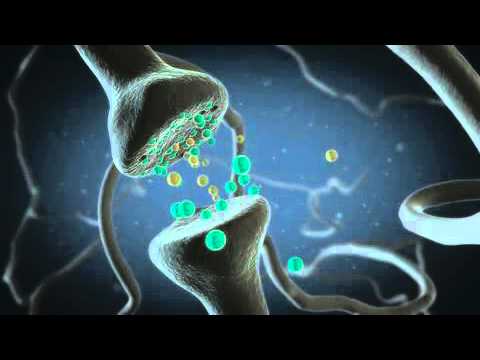 Wirkweise von Baldrian bei Schlafstörungen