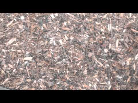 how to fill raised garden beds