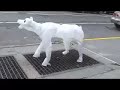 Air Bear (Seen On The Streets Of New York)
