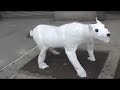 Air Bear (Seen On The Streets Of New York)