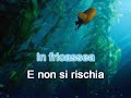 La sirenetta – In Fondo Al mar