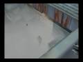 videos de boom2