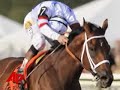 Big Brown Cruises to Preakness Win