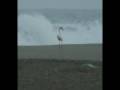 videos de Lone Greater Flamingo, Rio Antas, Spain