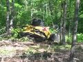 ASV RC-100 with Fecon ASV RC-100 with Fecon