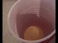 beer pong extreme ping pong shots