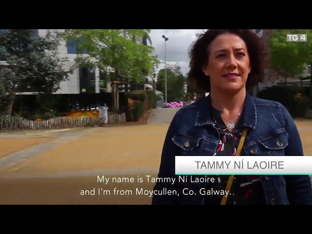 Irish Translator (EU)