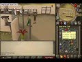 videos de Raffle off runescape account pure str bounty hunter