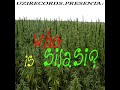 picolo y la garra   la felicidad