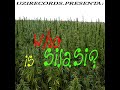 picolo y la garra   la felicidad