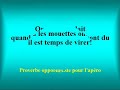 Faux proverbes rigolos