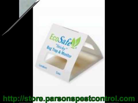 how to get rid housefly