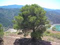 Siurana I