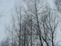 I created this video with the YouTube Video Editor (http://www.youtube.com/editor)
