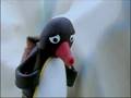 Pingu! Everyone do the Doo Dah!