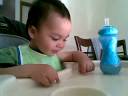 Chase drinking off tray 08102008.mp4 Chase drinking off tray 08102008.mp4