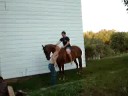 Tristy cant jump Tristy cant jump