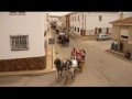 CABALLOS EN SANTA CRUZ DE LA ZARZA