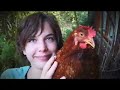 Sun in her Eyes - Tom Helsen (sign language) Sun in her Eyes - Tom Helsen (sign language)