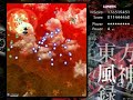 touhou-10-mountain-of-faith-stage-1-lunatic.html