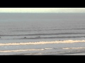 Porthcawl Surf - Video Clips