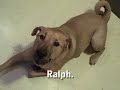Ralph Ralph
