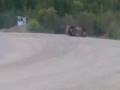 kokemäe rallikross 1