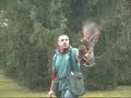 Domina e Boss agli esami (la falconeria it)