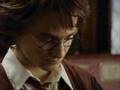 The Black Parade - Harry Potter and the Order of the Phoenix - Daniel Radcliffe - Flixster Video