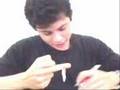 Teorio das Chinchilas Etiopes