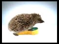 funny-commercial.html