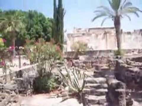Capernaum Ruins