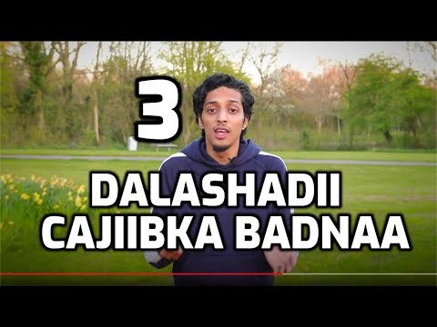 DHALASHADII CAJIIBKA BADNAA! - - ᴴᴰ (Qeebta 3) Barnaamijka -Qisadii Nabi Muuse ┇Abubakar & Omar