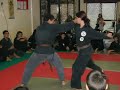 Taijutsu - Hojujutsu - Ninjutsu