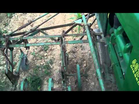 4020 - Second-pass cultivating corn that's almost too tall to cultivate.