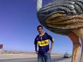 sahrawi laayoune