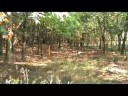 Archaeologist Dave Bush explains the camp's history and the layout of its walls, buildings, and 