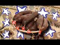 RECETAS DEL YO (Vicente Molina Pardo)