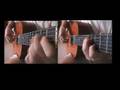 Funkgrass - a solo duet