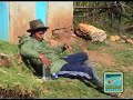 rosita de andahuaylas rosita de andahuaylas