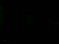 videos de Verrückte wesen